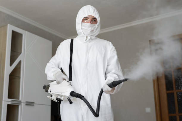 Best Mold Odor Removal Services  in Scotland Neck, NC