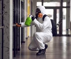 Best Environmental Consulting for Mold Prevention  in Scotland Neck, NC